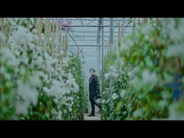 Το νέο video clip του Leon Of Athens είναι μία “Utopia” από φυτά (ΒΙΝΤΕΟ)