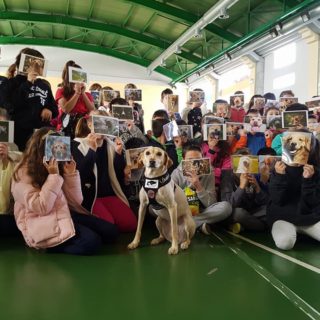 Σε ποιες Ζω.Ε.Σ. έδωσε πνοή η Κατερίνα Παπαποστόλου;