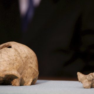 Ο Homo erectus ήταν ο πρώτος που μίλησε πριν 1,5 εκατ. χρόνια και επαγγελλόταν… ναυτικός