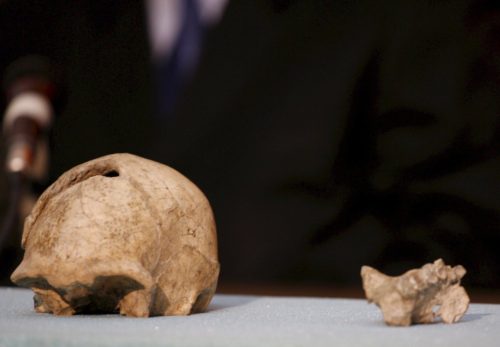 Ο Homo erectus ήταν ο πρώτος που μίλησε πριν 1,5 εκατ. χρόνια και επαγγελλόταν… ναυτικός
