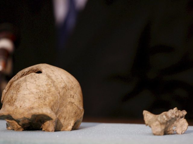Ο Homo erectus ήταν ο πρώτος που μίλησε πριν 1,5 εκατ. χρόνια και επαγγελλόταν… ναυτικός