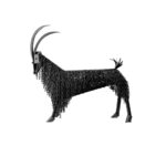 25 γλυπτά της Ναταλίας Μελά εκτίθενται στο Ιστορικό Μουσείο Κρήτης