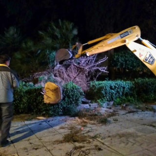 Ζημιές προκλήθηκαν τα ξημερώματα στο Ναύπλιο εξαιτίας ισχυρών ανέμων [ΕΙΚΟΝΕΣ]