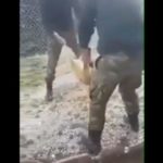 Στο στρατοδικείο οι φαντάροι που κακοποίησαν με βάρβαρο τρόπο το σκυλάκι στην Κόνιτσα