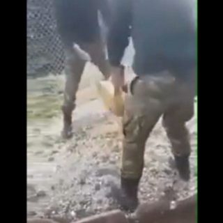 Στο στρατοδικείο οι φαντάροι που κακοποίησαν με βάρβαρο τρόπο το σκυλάκι στην Κόνιτσα