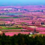 Ένα Σαββατοκύριακο στις Ανθισμένες Ροδακινιές της Βέροιας!