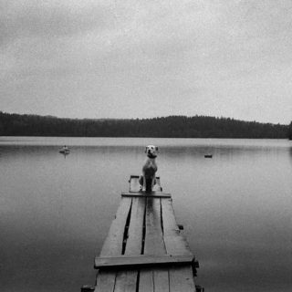 Οι υπέροχες φωτογραφίες της Μάσα Ιβανσίτσοβα έρχονται επιτέλους στο φως