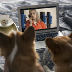 NETFLIX & WOOF: Binge-watching με σκυλιά (και γατιά)