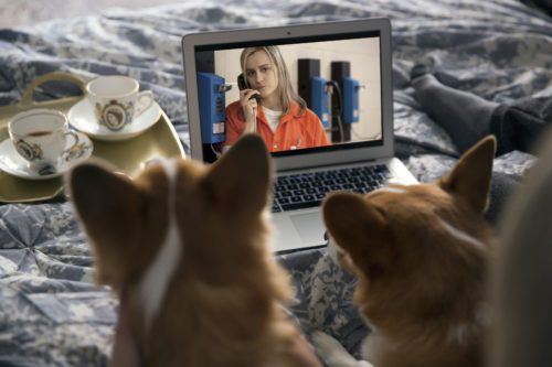 NETFLIX & WOOF: Binge-watching με σκυλιά (και γατιά)