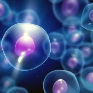 Πάνω από το 50% των ανθρώπινων κυττάρων ανήκουν σε μικρόβια!