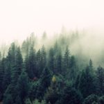 Καλάβρυτα: Εξαφάνιση 9χρονου σε δασώδη περιοχή