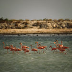 Το National Geographic αποκάλυψε εκπληκτικές μη δημοσιευμένες φωτογραφίες από το αρχείο του