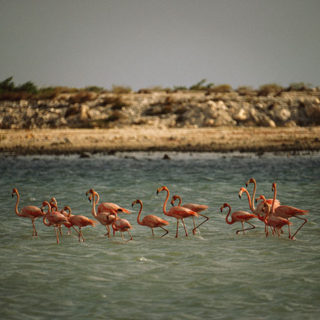 Το National Geographic αποκάλυψε εκπληκτικές μη δημοσιευμένες φωτογραφίες από το αρχείο του