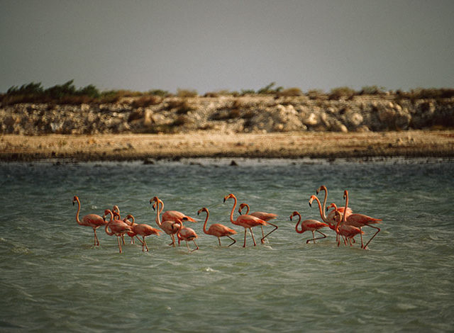 Το National Geographic αποκάλυψε εκπληκτικές μη δημοσιευμένες φωτογραφίες από το αρχείο του