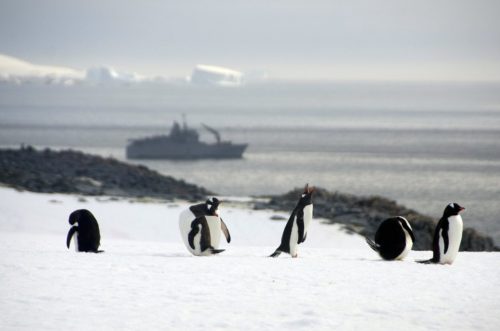 Τρία γιγάντια φαράγγια ανακαλύφθηκαν θαμμένα κάτω από τους πάγους της Ανταρκτικής
