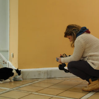 Η δημιουργός του zoosos.gr μιλάει στην Popaganda για τη δραματική κατάσταση που βιώνουν τα ζώα στην Ελλάδα