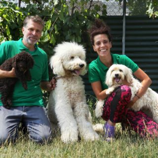 Dog Therapy: Κι αν ο θεράπων ιατρός σας έχει… τέσσερα πόδια και χνουδωτή μουσούδα;