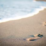 Παγκόσμια Ημέρα Φασαίου: Γιατί το καλοκαίρι είναι για όλες τις φάσεις