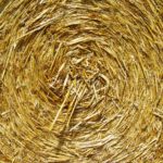 Κίνα: Πώς το άχυρο έγινε η κότα με τα χρυσά αυγά