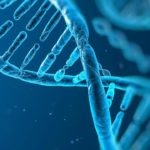 Πόσα γονίδια έχει τελικά το ανθρώπινο σώμα;