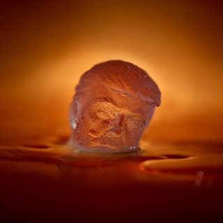 Ο Ντόναλντ Τραμπ έγινε… παγάκι για κοκτέιλ