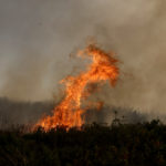 Πυρκαγιές: Συγκλονίζουν οι μαρτυρίες από το Κόκκινο Λιμανάκι