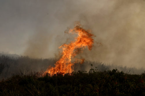 Πυρκαγιές: Συγκλονίζουν οι μαρτυρίες από το Κόκκινο Λιμανάκι