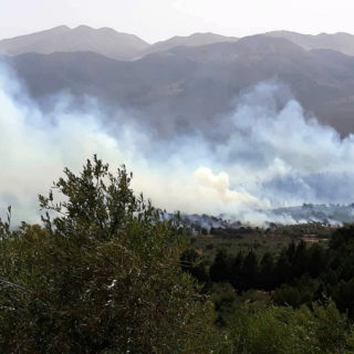 Φωτιά στη Σαλαμίνα