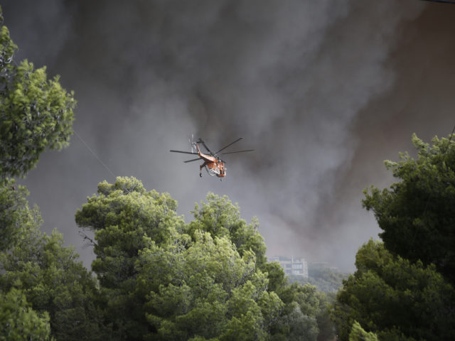 Πάτρα: Πυρκαγιά σε δασική έκταση στην Κλειτορία Καλαβρύτων