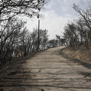 Στους 82 ο αριθμός των νεκρών – Συνεχίζεται η αγωνία για τους αγνοούμενους