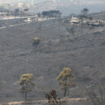 Πυρκαγιές: Στήριξη από την ΕΕ υποσχέθηκε ο επίτροπος Χρήστος Στυλιανίδης