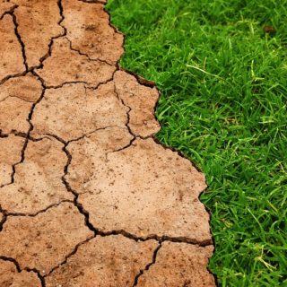 Φόβους για το θερμότερο καλοκαίρι της χιλιετίας εκφράζουν οι επιστήμονες