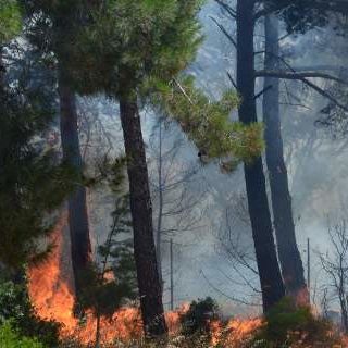 Υπό έλεγχο τα πύρινα μέτωπα στην Κρήτη