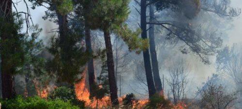 Μεγάλη πυρκαγιά στην Άνδρο – Εκκενώθηκε και δεύτερος οικισμός