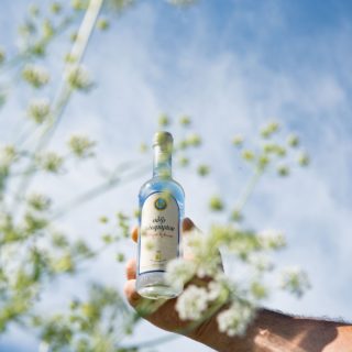 Από το 1894, το Ούζο Πλωμαρίου είναι ένα ποτό καθαρό σαν το κύμα του Αιγαίου