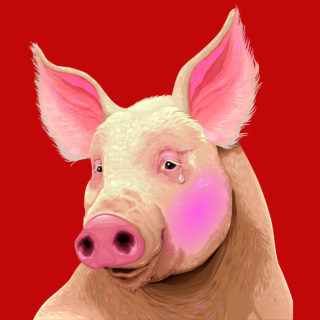 Η Βιομηχανική Κτηνοτροφία Είναι Το Μεγαλύτερο Στρατόπεδο Συγκέντρωσης Που Έχει Γνωρίσει Η Γη