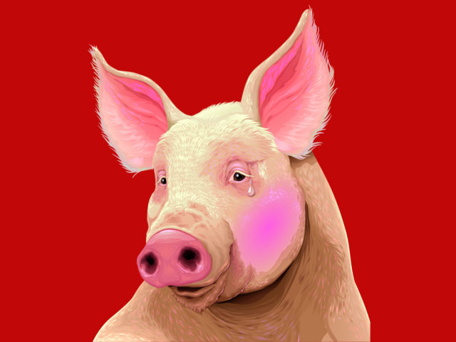 Η Βιομηχανική Κτηνοτροφία Είναι Το Μεγαλύτερο Στρατόπεδο Συγκέντρωσης Που Έχει Γνωρίσει Η Γη