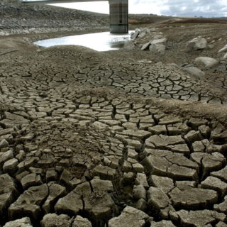 Αυστραλία: Ακραία ξηρασία πλήττει την πιο πολυπληθή πολιτεία της χώρας