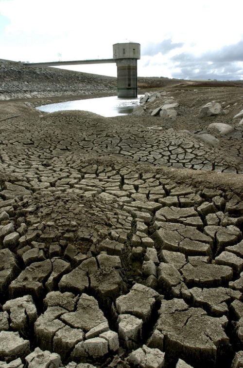 Αυστραλία: Ακραία ξηρασία πλήττει την πιο πολυπληθή πολιτεία της χώρας