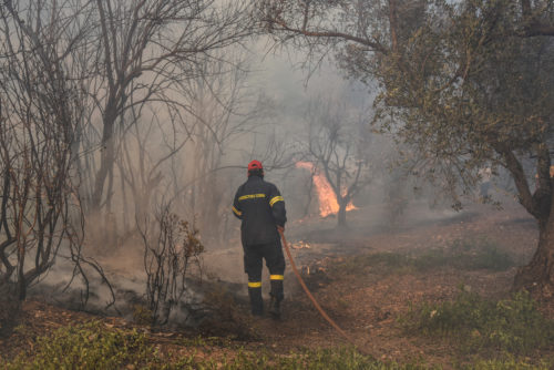 Συνεχίζεται η μάχη με τις φλόγες στην Εύβοια