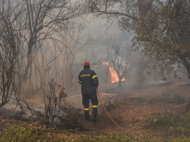 Νέα πυρκαγιά σε δασική έκταση στην Αρκαδία