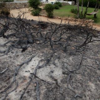 Τι Έχει Απομείνει Από τη Φωτιά;