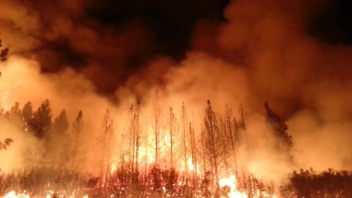 Καλιφόρνια: Αναζωπυρώθηκε η φονική πυρκαγιά