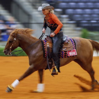 Άνθρωποι και άλογα. Παγκόσμιοι Ιππικοί Αγώνες 2018.