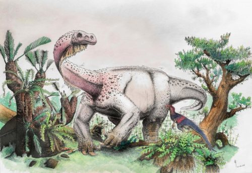 Νέο είδος τεράστιου δεινοσαύρου ανακαλύφθηκε στη Νότια Αφρική