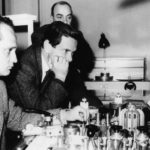 Ολόκληρο το έργο του Παζολίνι στην Ταινιοθήκη της Ελλάδος