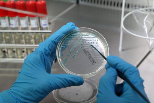 Μια «Κιβωτό του Νώε» για μικρόβια προτείνουν επιστήμονες, για να προστατευθεί η παγκόσμια υγεία στο μέλλον