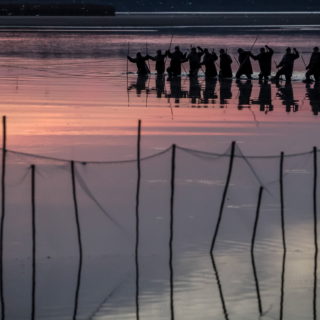 Το παραδοσιακό ψάρεμα των κυπρίνων στην Δημοκρατία της Τσεχίας