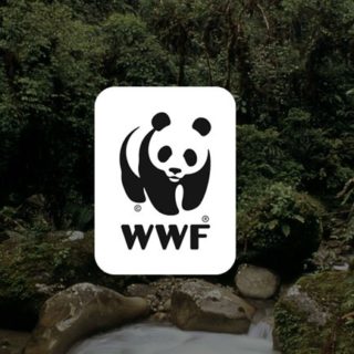 Εκστρατεία του WWF ενάντια στην εξόρυξη πετρελαίου και φυσικού αερίου στην Ελλάδα