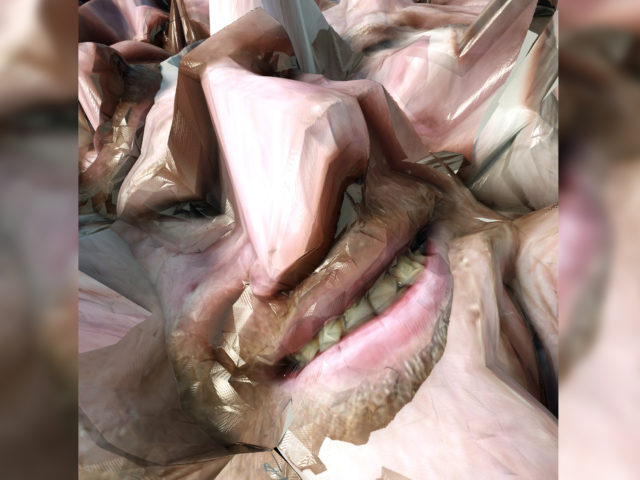 Aphex Twin – Collapse EP